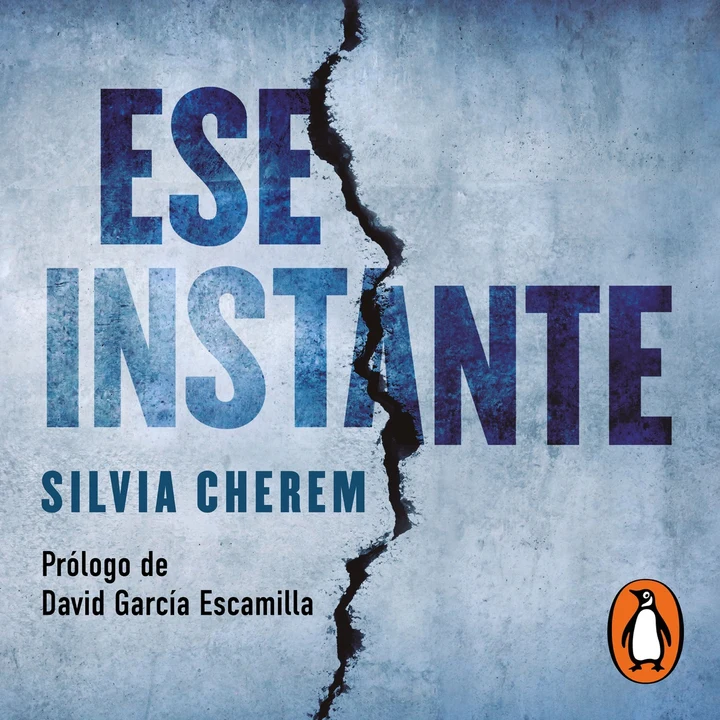 Portada de Ese Instante, de Silvia Cherem