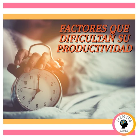 Portada de Factores Que Dificultan Su Productividad