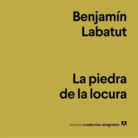 Portada de La piedra de la locura