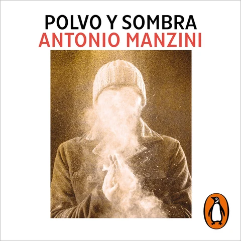 Portada de Polvo y sombra (Subjefe Rocco Schiavone 6)