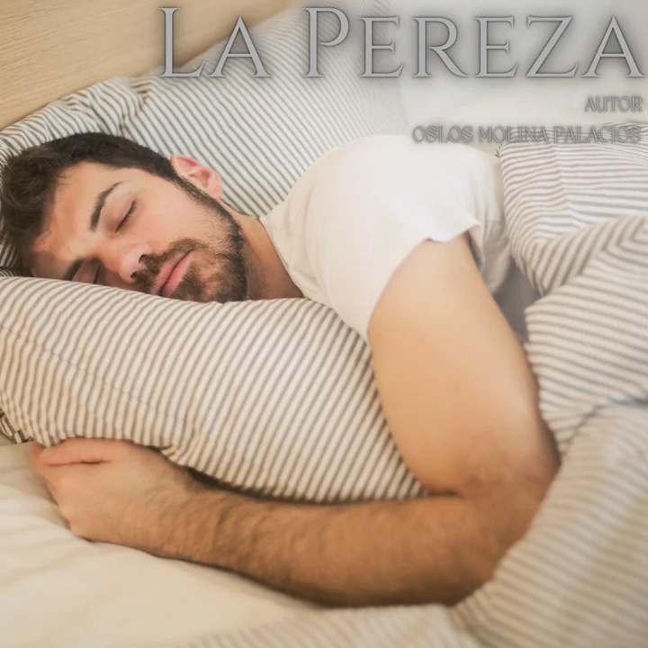 Portada de La pereza: Los 7 Defectos de Caracter, de Oslos Molina Palacios