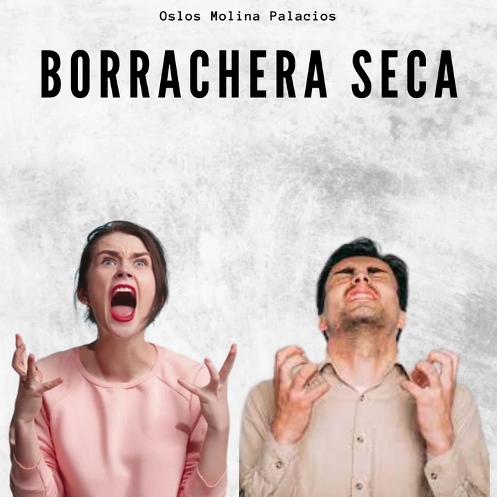 Portada de Borrachera Seca, de Oslos Molina Palacios