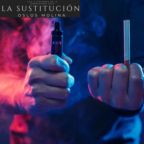 Portada de La sustitución: Los 12 sintomas de la borrachera seca
