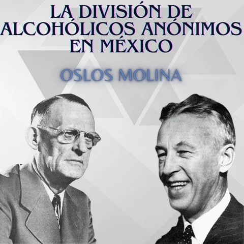 Portada de La división de Alcohólicos Anónimos en México: Experiencias AA