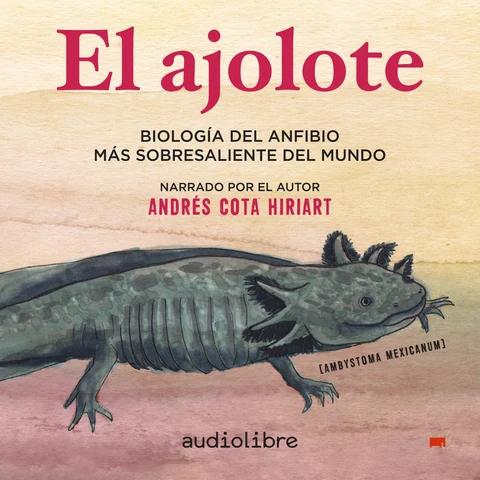 Portada de El ajolote