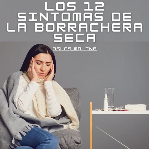 Portada de Los 12 sintomas de la borrachera seca: Experiencias AA