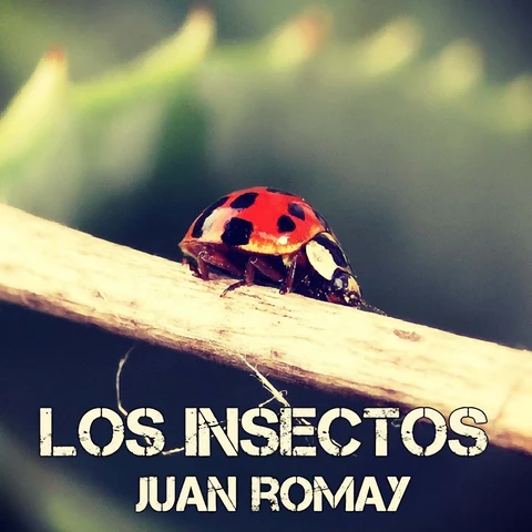 Portada de Los insectos
