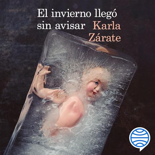 Portada de El invierno llegó sin avisar