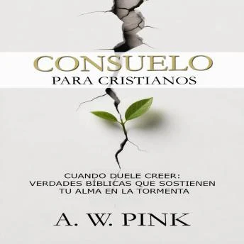 Portada de Consuelo para Cristianos: Cuando duele creer: verdades bíblicas que sostienen tu alma en la tormenta