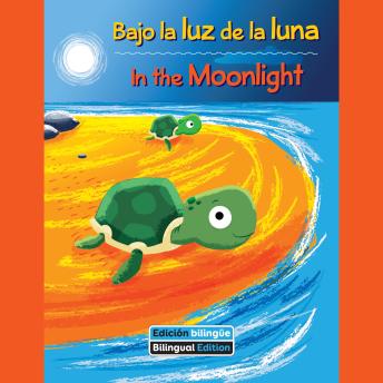 Portada de Bajo la luz de la luna / In the Moonlight