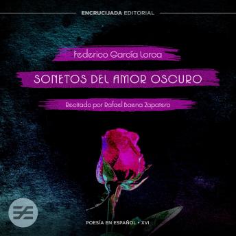 Portada de Sonetos del Amor Oscuro, de Federico García Lorca