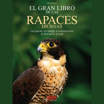 Portada de El gran libro de las rapaces diurnas, de Gianni Ravazzi