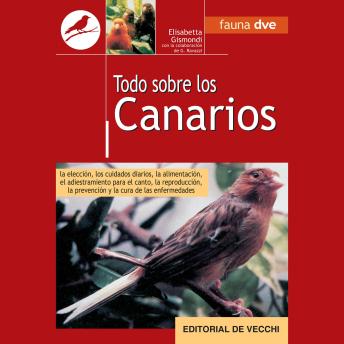Portada de Todo sobre canarios, de Elisabetta Gismondi, Gianni Ravazzi