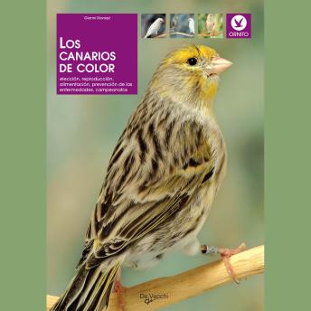 Portada de Los canarios de color: elección, reproducción, alimentación, prevención de las enfermedades, campeonatos