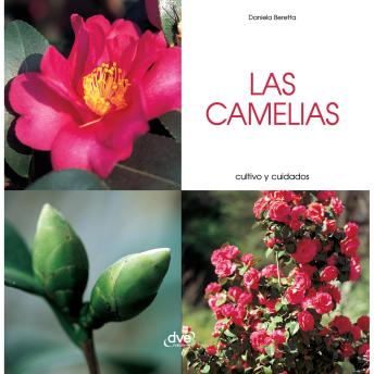 Portada de Las camelias - Cultivo y cuidados: Manual ilustrado para cultivar camelias sanas, reproducirlas y protegerlas de plagas, de Daniela Beretta