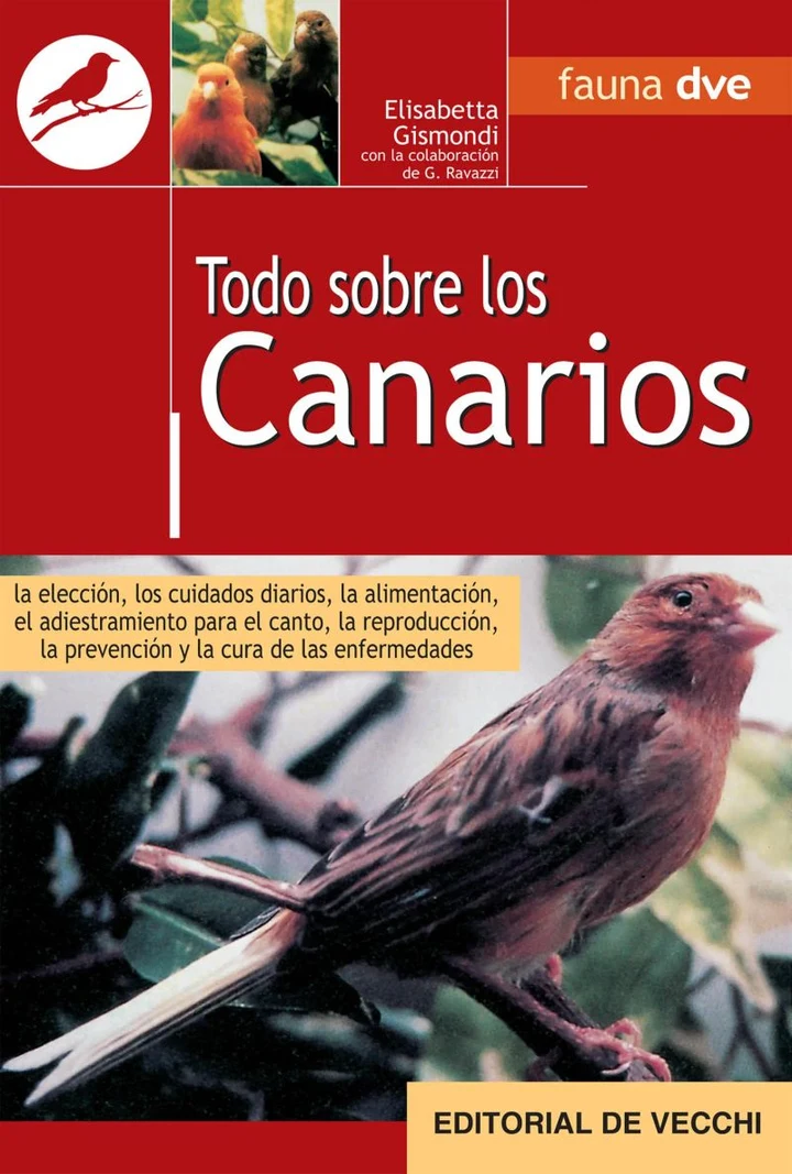 Portada de Todo sobre canarios, de Elisabetta Gismondi, Gianni Ravazzi