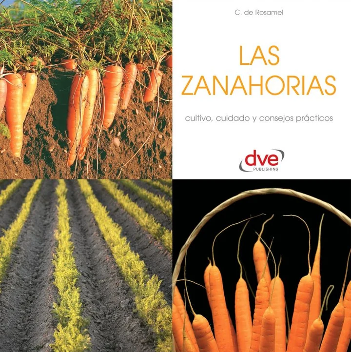 Portada de Las zanahorias, de Chantal de Rosamel