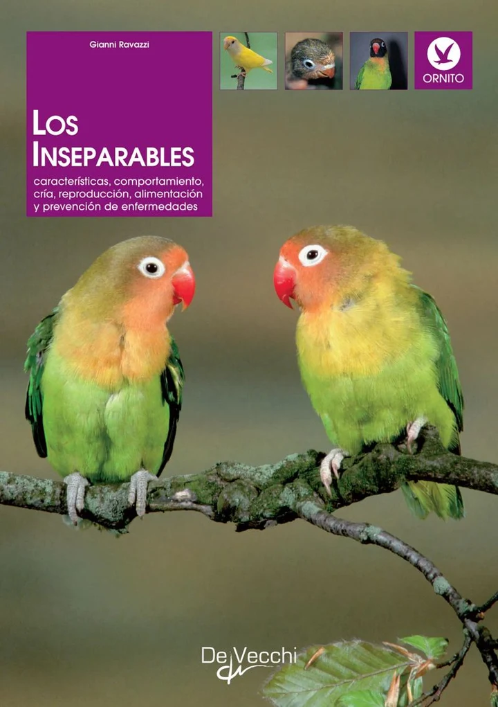 Portada de Los inseparables, de Gianni Ravazzi