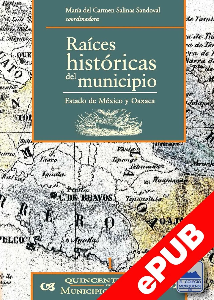 Portada de Raíces históricas del municipio, de María del Carmen Salina Sandoval