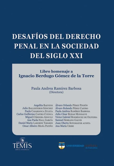 Portada de Desafíos del derecho penal en la sociedad del siglo XXI