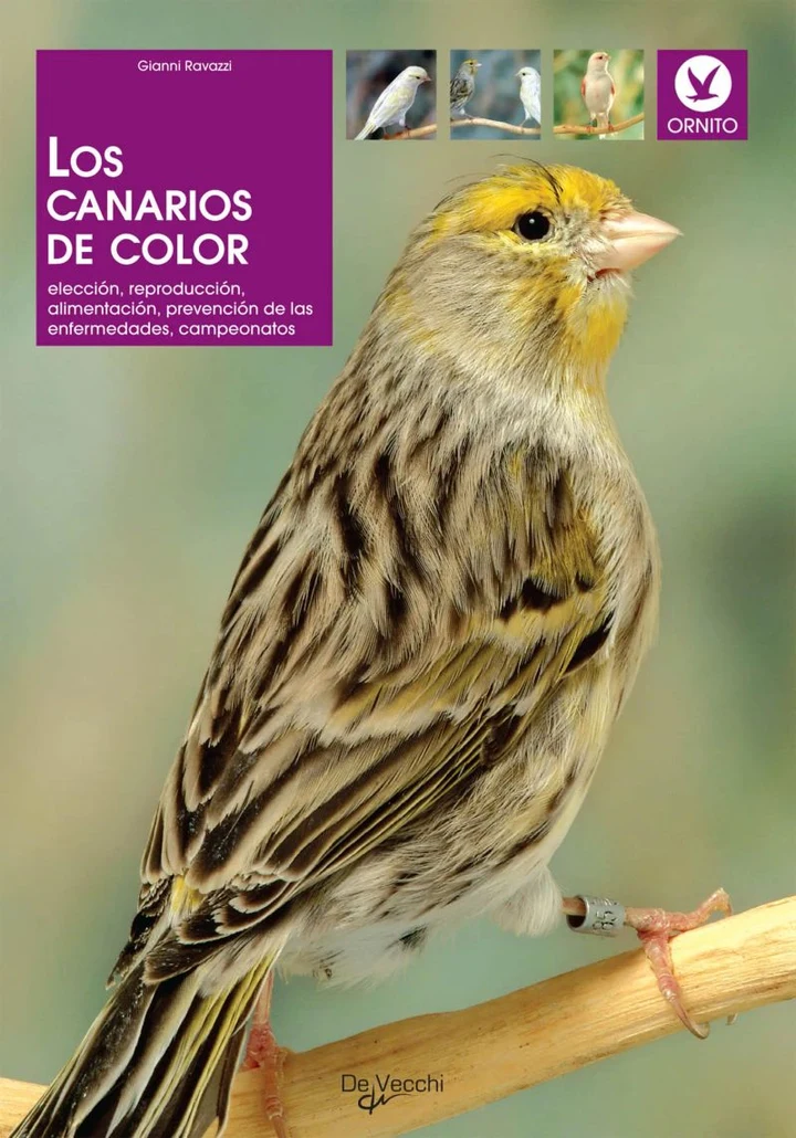 Portada de Los canarios de color: elección, reproducción, alimentación, prevención de las enfermedades, campeonatos, de Gianni Ravazzi