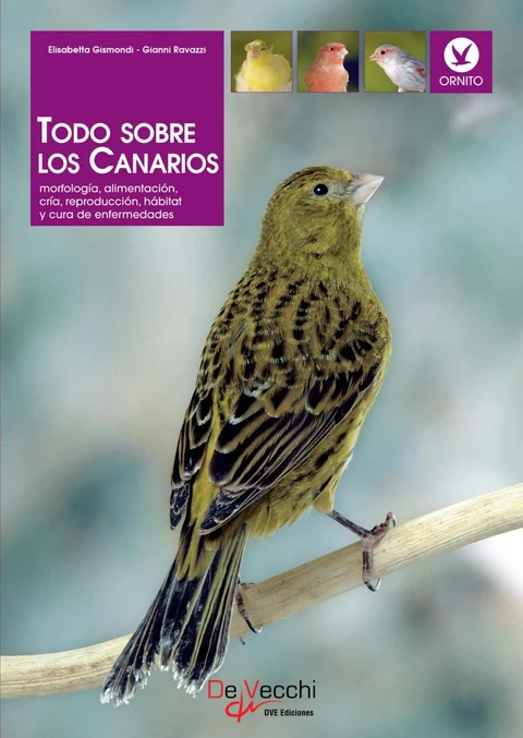 Portada de Todo sobre los Canarios. Morfología, alimentación, cría, reproducción, hábitat y cura de enfermedades