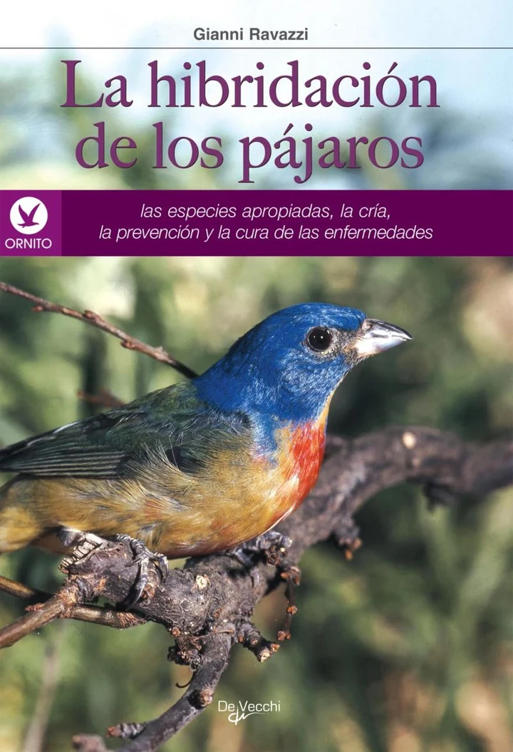 Portada de La hibridación de los pájaros, de Gianni Ravazzi