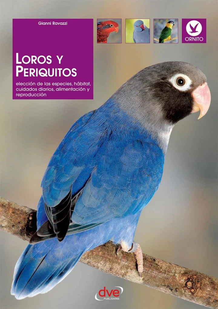 Portada de Loros y periquitos, de Gianni Ravazzi
