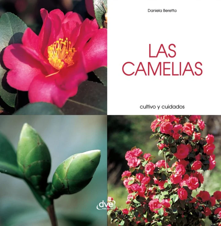 Portada de Las camelias - Cultivo y cuidados: Manual ilustrado para cultivar camelias sanas, reproducirlas y protegerlas de plagas, de Daniela Beretta