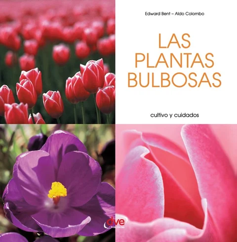 Portada de Las plantas bulbosas - Cultivo y cuidados