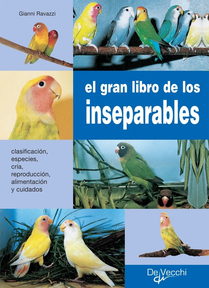 Portada de El gran libro de los inseparables, de Gianni Ravazzi