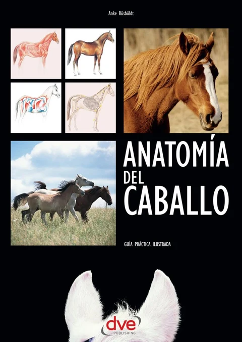 Portada de Anatomía del caballo: Guía práctica ilustrada