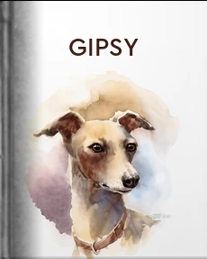 Portada de Gipsy, de Pardo Bazán, Emilia