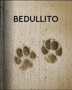 Portada de Bedullito