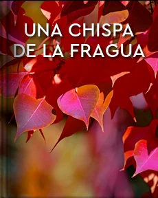 Portada de Una chispa de la fragua