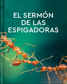 Portada de El sermón de las espigadoras