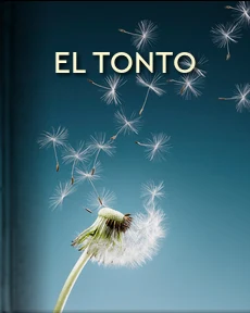 Portada de El tonto, de Anderson, Sherwood