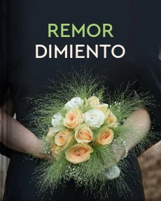 Portada de Remordimiento