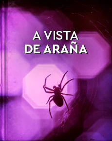 Portada de A vista de araña