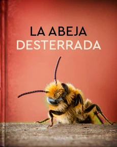 Portada de La abeja desterrada