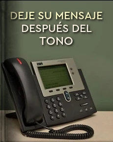 Portada de Deje su mensaje después del tono