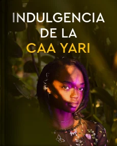 Portada de Indulgencia de la Caa Yari