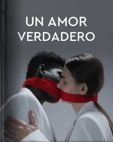 Portada de Un amor verdadero, de Sawa Martínez, Miguel