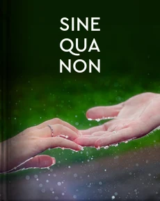 Portada de Sine Qua Non