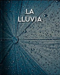 Portada de La lluvia, de Sawa Martínez, Miguel