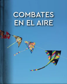 Portada de Combates en el aire (Narración de un viejo)