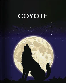 Portada de Coyote, de Villoro, Juan