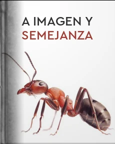 Portada de A imagen y semejanza