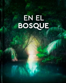 Portada de En el bosque