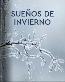 Portada de Sueños de invierno, de Francis Scott Fitzgerald